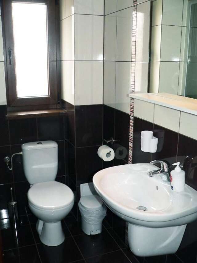 Гостевой дом Pension Deutsches Haus Брашов-39